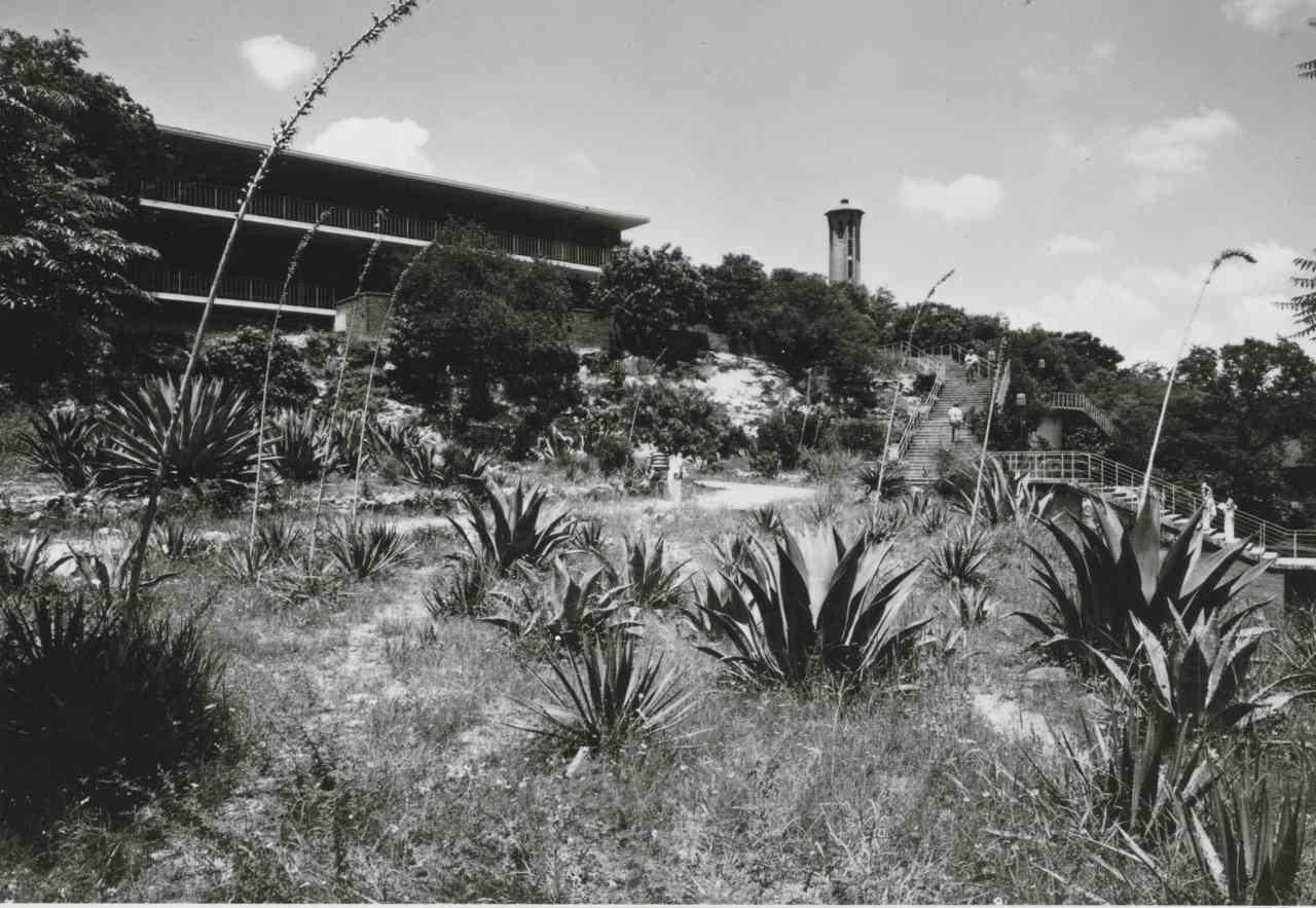 Black and White image of 澳门金沙线上赌博官网 buildings and Tower